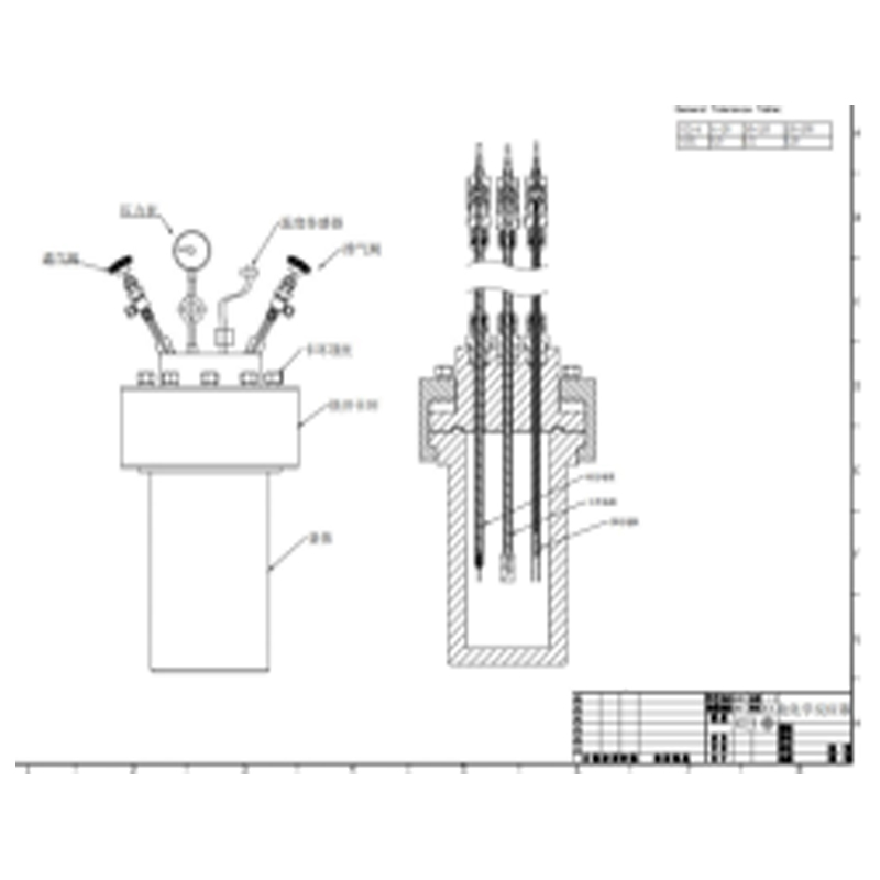 高壓高溫電化學反應(yīng)釜